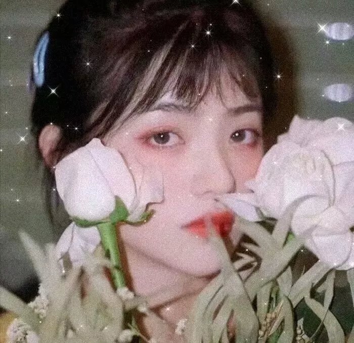 怪兽