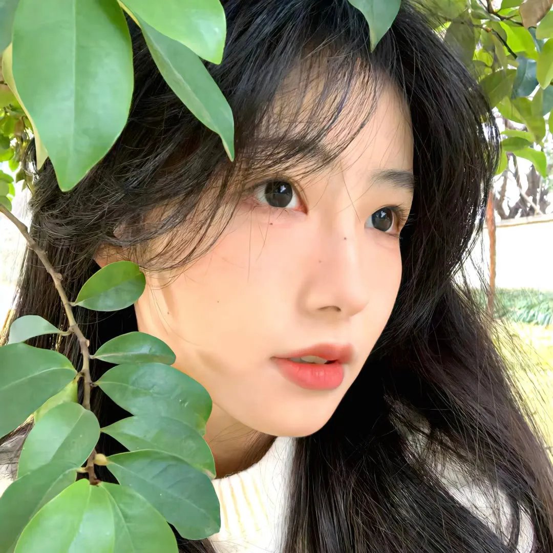 租借女友第二季