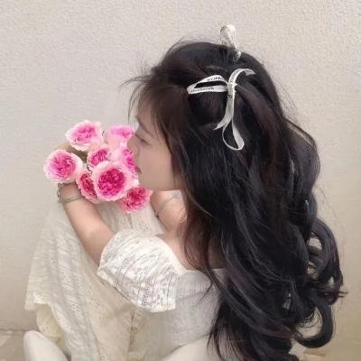 狮子狗行动